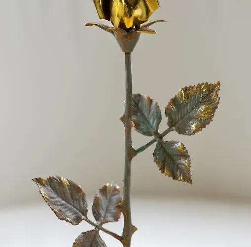 多罗酒店 酒店 布尔加斯